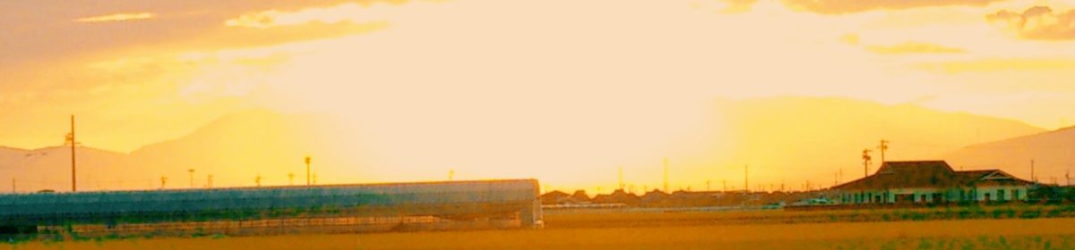 忙中閑あり 腹中書あり